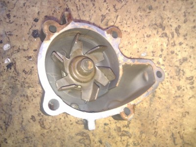 IMG_20121014_173559.jpg (165.81 KiB) Zobrazeno 1639 x IMG_20121014_173559.jpg